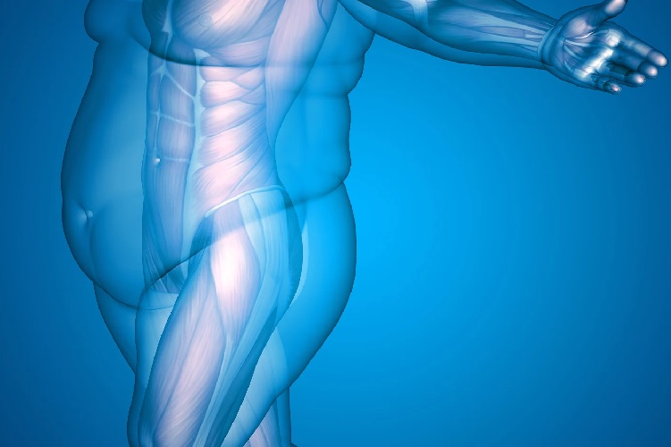 제목: 0.5mg 카트리지 KR vs 같은카테고리의유사의약품